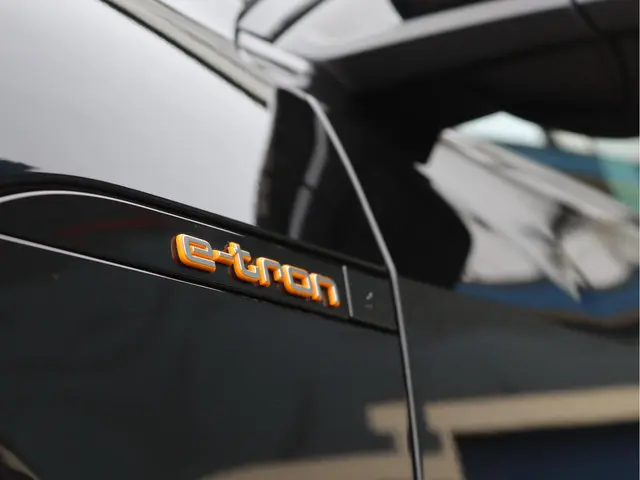 Audi e-tron 50 quattro 71 kWh 2020 Elektrisch 14