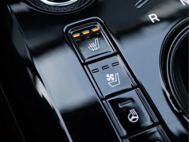 Kia Niro EV ExecutiveLine 64.8 kWh 2022 Elektrisch 74