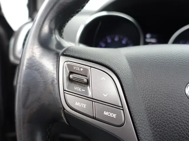 Hyundai Santa Fe 2.4i GDI i-Catcher- 2013 Benzine 15
