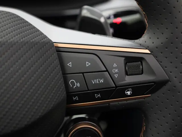 CUPRA Terramar 1.5TSI/150PK DSG Business 2025 Benzine 20