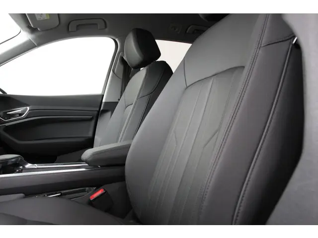 Audi e-tron 55 Quattro Advanced 2019 Elektrisch 45