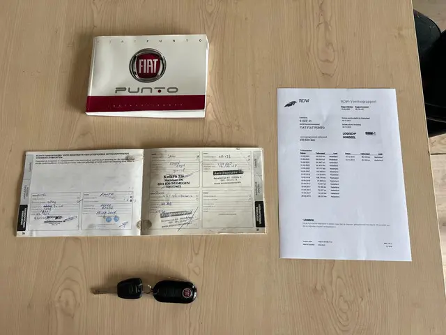 Fiat Punto Evo 0.9 TwinAir Edizione Cool 2013 Benzine 13