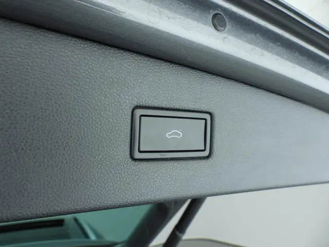 Volkswagen Tiguan 1.5 TSI ACT Highline 2020 Benzine 25