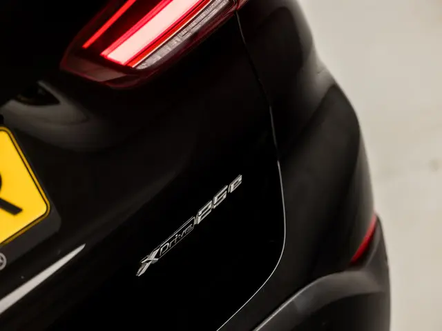 BMW X1 xDrive25e Sportline 2022 Hybride Benzine 31