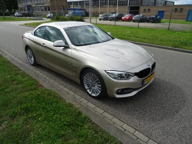 BMW 4 Serie Cabrio 420d High Executive 2014 Diesel 7