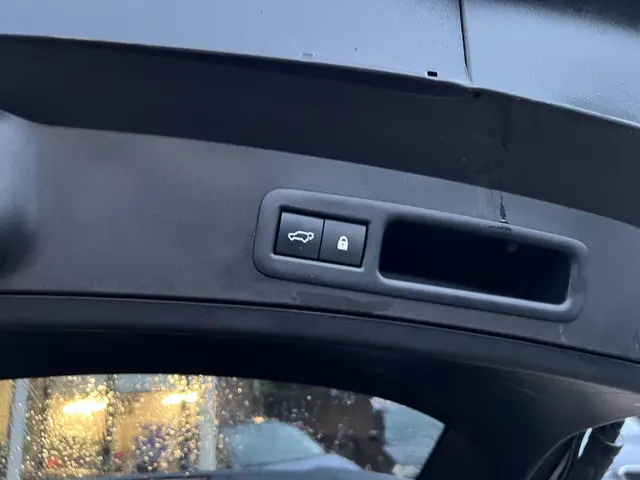 Lexus UX 300e Executive 54 kWh 2020 Elektrisch 31