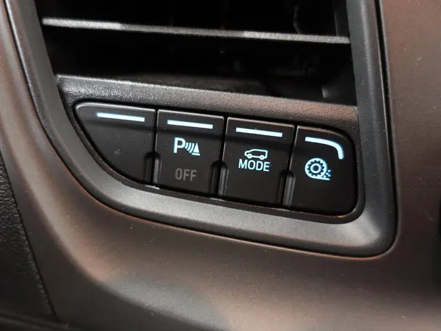 Ford Transit 350 2.0 TDCI L4H3 Trend 2024 Diesel 12