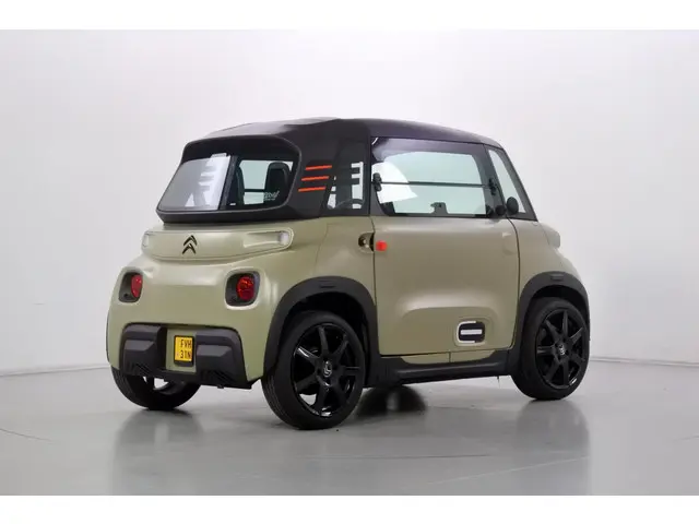Citroën Ami Pack VDA Custom 16" 2021 Elektrisch 2