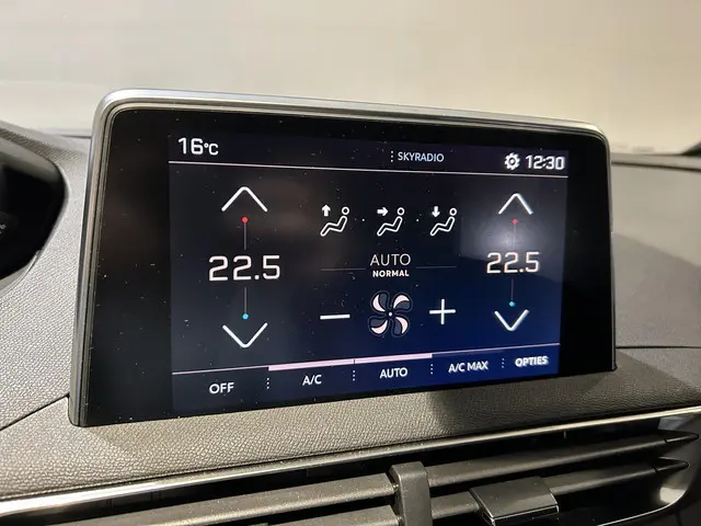 Peugeot 3008 1.6 PureTech GT Line 2020 Benzine 12