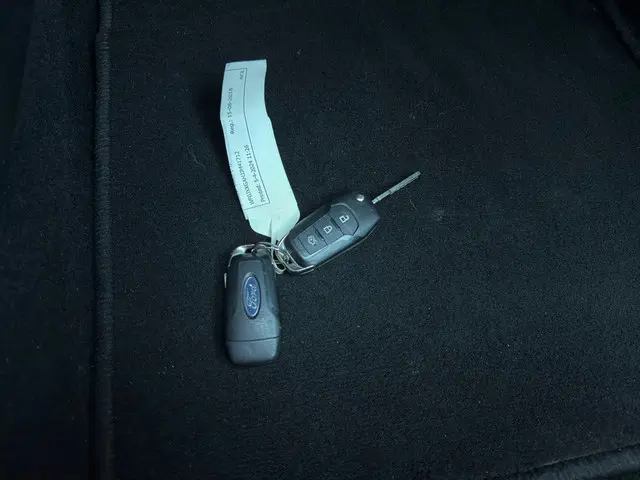 Ford Fiesta 1.1 Trend 2018 Benzine 14