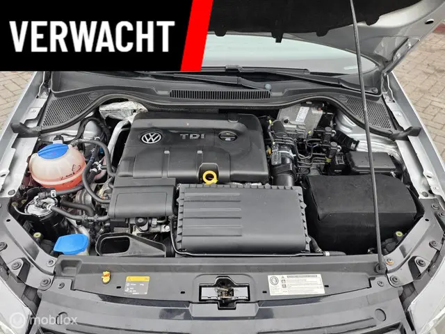 Volkswagen Polo 1.4 TDI BlueMotion 2014 Diesel 21