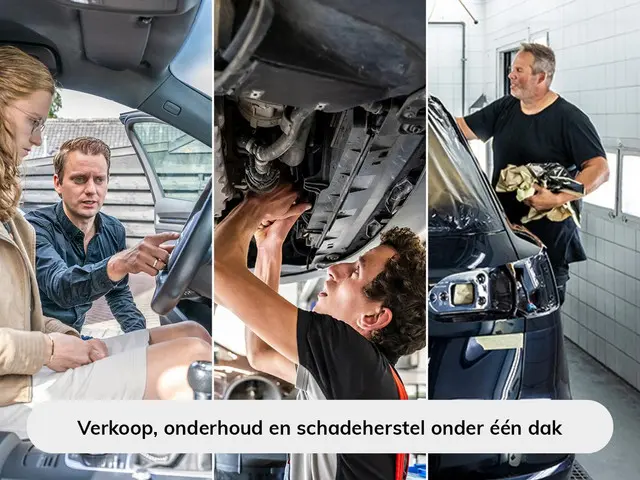 Volkswagen Golf Variant 1.6 TDI 2018 Diesel 27