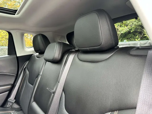 Jeep Compass Compass 1.6 MultiJet Limited 2020 Diesel 13