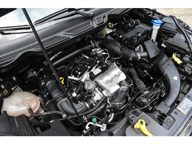 Ford EcoSport 1.0 Ti-VCT Titanium 2020 Benzine 25