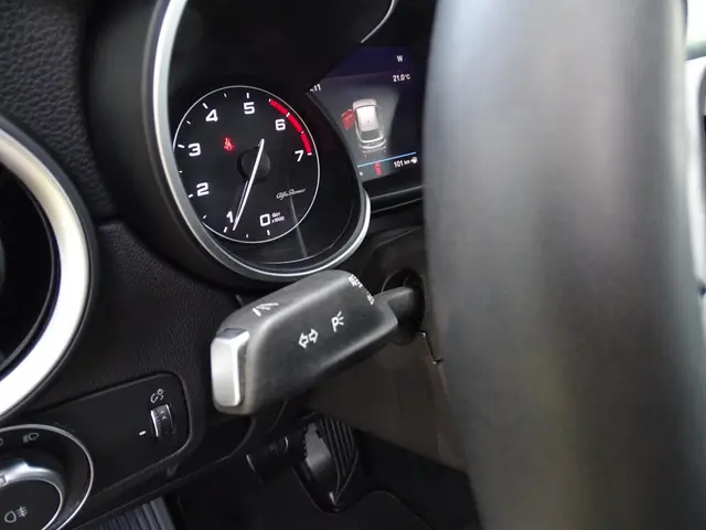 Alfa Romeo Stelvio 2.0 T AWD Super 2020 Benzine 22