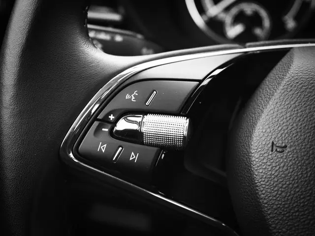 Škoda Fabia 1.0 TSI 95pk Active 2023 Benzine 13