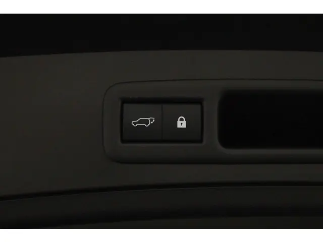 Lexus UX 250h Luxury Line 2020 Hybride Benzine 38