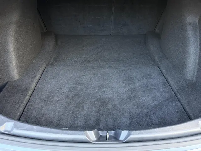 Tesla Model 3 Long Range AWD 75 kWh 2019 Elektrisch 30