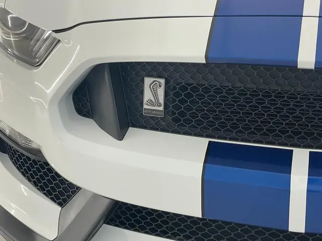 Ford Mustang Shelby GT350 EINDEJAARSACTIE 2017 Benzine 20