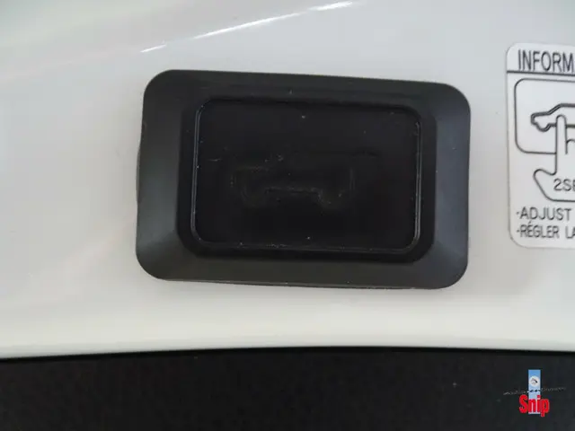Toyota RAV4 2.5 Hybrid Energy Plus 2018 Hybride Benzine 24