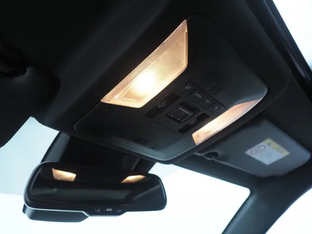 Toyota RAV4 2.5 Hybrid AWD Bi-Tone 2020 Hybride Benzine 21