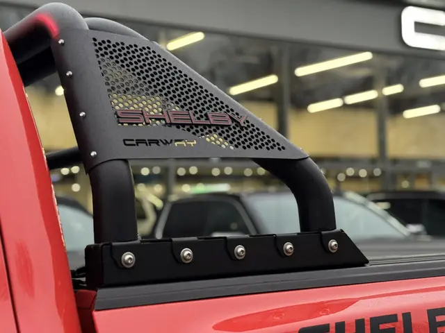 Ford F-150 3.5L V6 RAPTOR SHELBY 2024 LPG/Gas 6