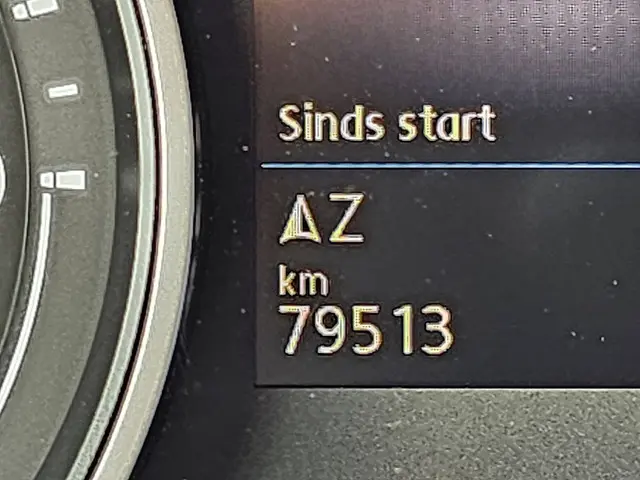 MAN TGE E-TGE 2019 Elektrisch 9