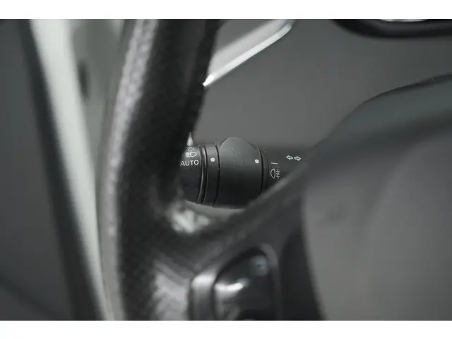 Renault ZOE R110 Limited 41 kWh 2018 Elektrisch 33