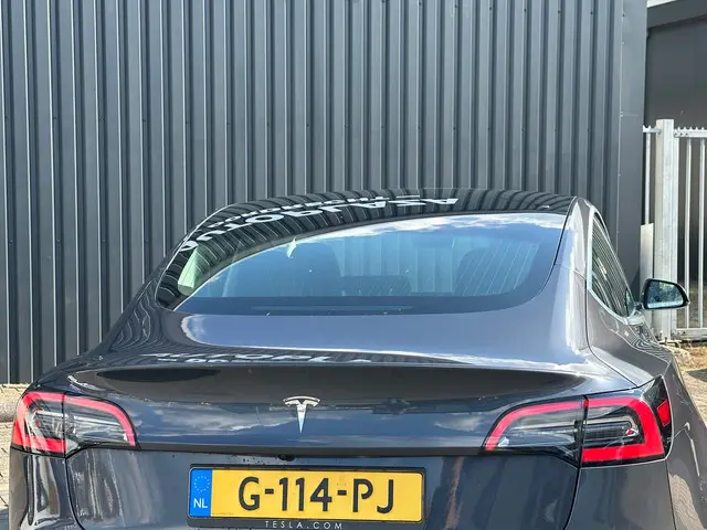 Tesla Model 3 Standard RWD Plus 60 kWh 2019 Elektrisch 12