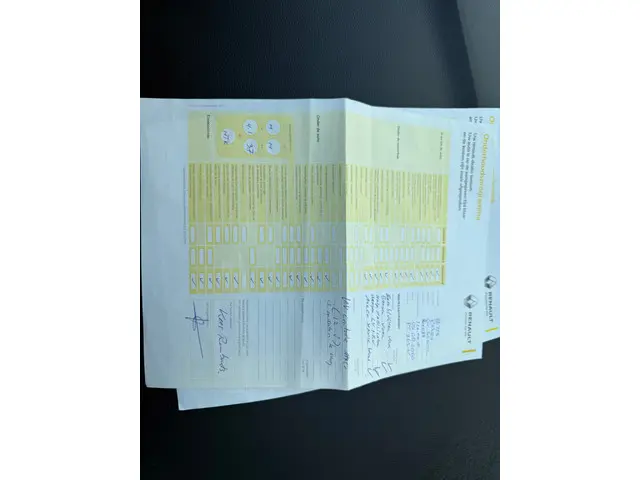 Renault Grand Scénic 1.2 TCe Bose 7p. 2017 Benzine 23