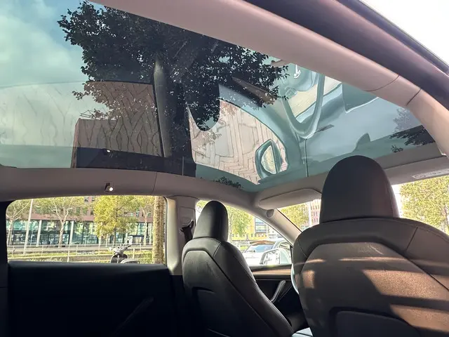 Tesla Model Y Long Range AWD 75 kWh 2022 Elektrisch 13