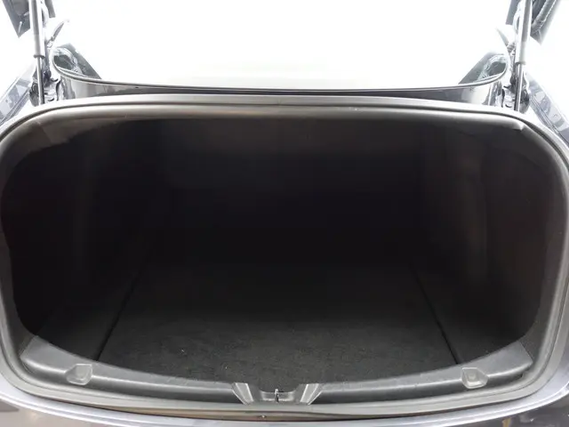 Tesla Model 3 Long Range AWD 75 kWh- 2019 Elektrisch 26