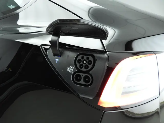 Tesla Model 3 Standard RWD Plus 60 kWh 2023 Elektrisch 25