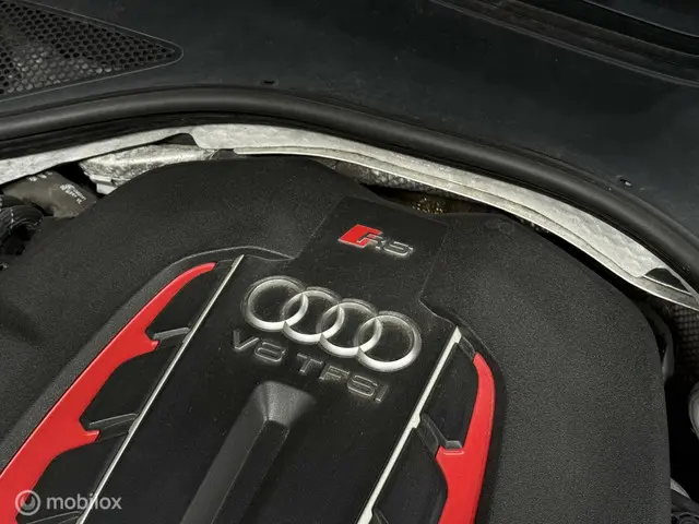 Audi RS6 Avant 4.0 TFSI RS 6 quattro 2014 Benzine 80