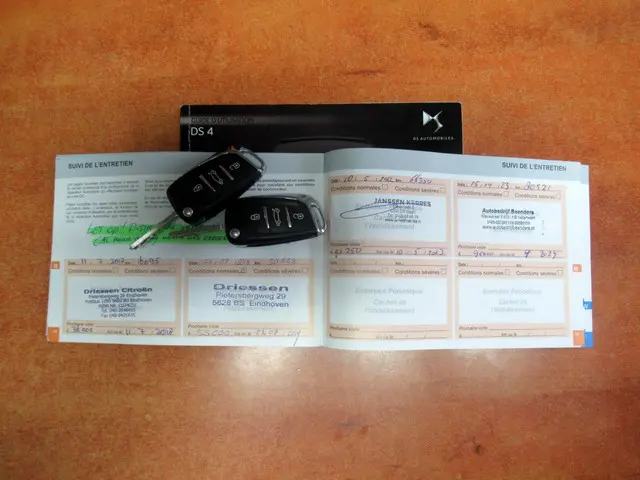 DS DS 4 1.2 PureTech Business*Navi*Xenon*Pdc* 2016 Benzine 15