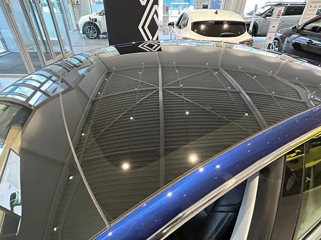 Tesla Model 3 Standard RWD Plus 60 kWh 2020 Elektrisch 20