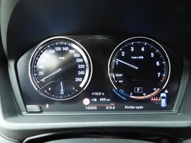 BMW X1 sDrive20i High Executive 2020 Benzine 31