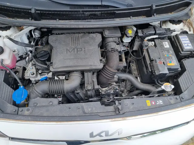 Kia Picanto 1.0 DPi ComfortLine 5p 2022 Benzine 24