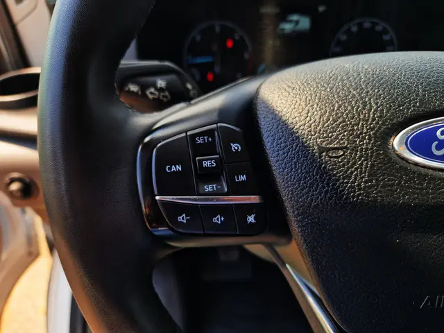 Ford Transit 350 2.0 TDCI L3H2 Trend 2022 Diesel 23