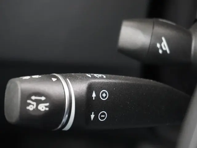 Tesla Model S Long Range RAVEN 2020 Elektrisch 27