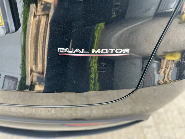 Tesla Model Y Performance AWD 75 kWh 2022 Elektrisch 6