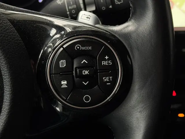 Kia e-Soul (financial) lease mij v.a. 275 pm 2019 Elektrisch 8