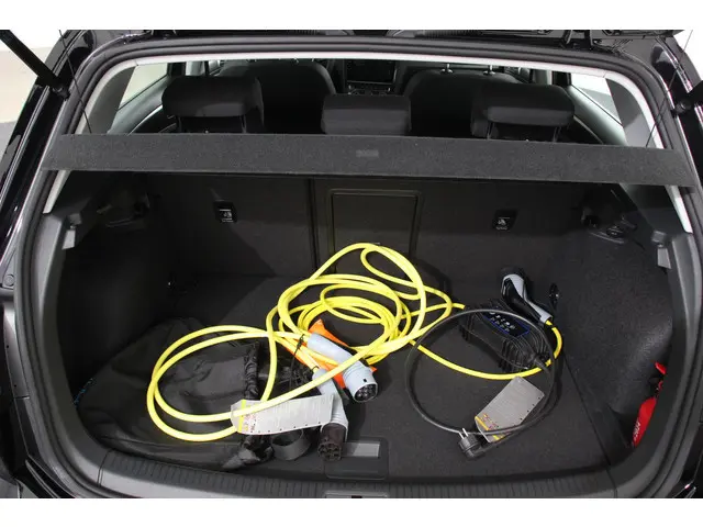 Volkswagen e-Golf Edition 2019 Elektrisch 15