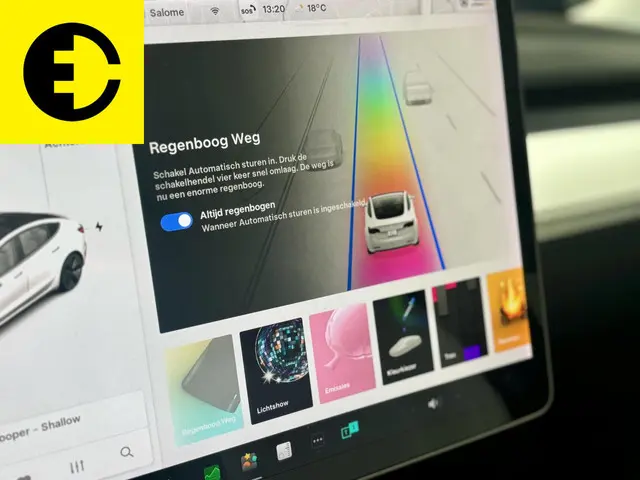 Tesla Model 3 Standard RWD Plus 60 kWh 2021 Elektrisch 33