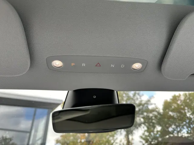 Tesla Model 3 Long Range AWD 78 kWh 2023 Elektrisch 17