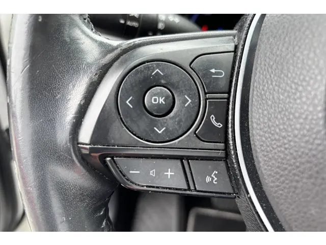 Toyota RAV4 2.5 Hybrid AWD Bi-Tone 2019 Hybride Benzine 20