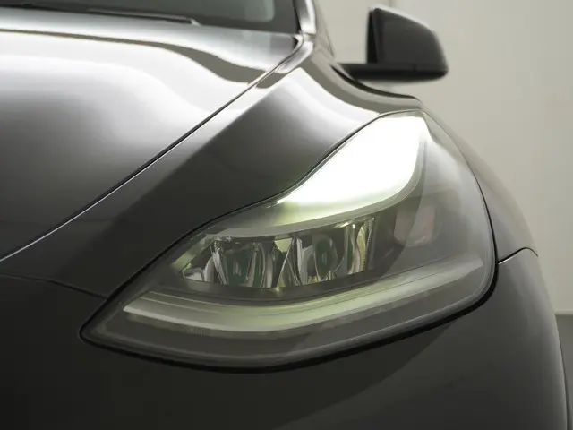 Tesla Model Y Performance AWD 75 kWh 2022 Elektrisch 15