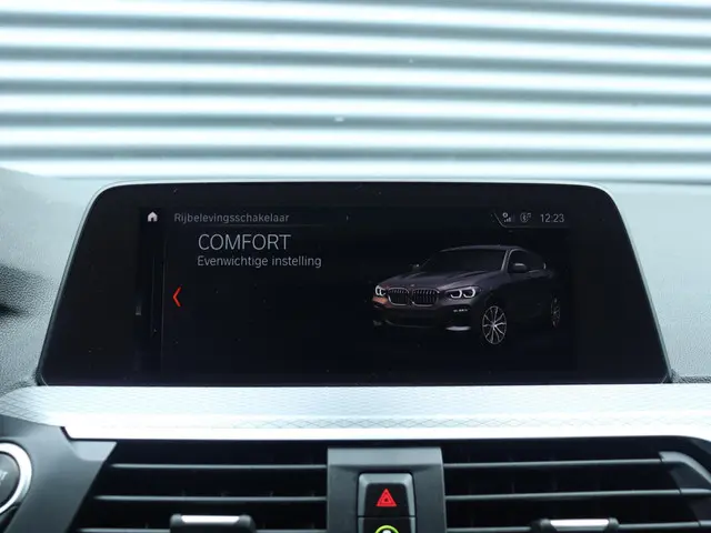 BMW X4 xDrive20i 2020 Benzine 28