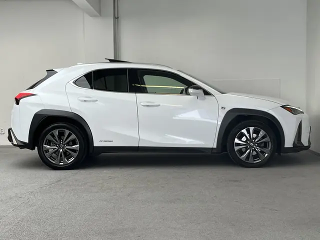 Lexus UX 250h AWD F Sport Premium 2019 Hybride Benzine 8