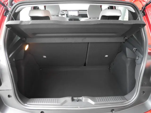 Citroën C3 1.2 Turbo 100pk Max 2025 Benzine 10